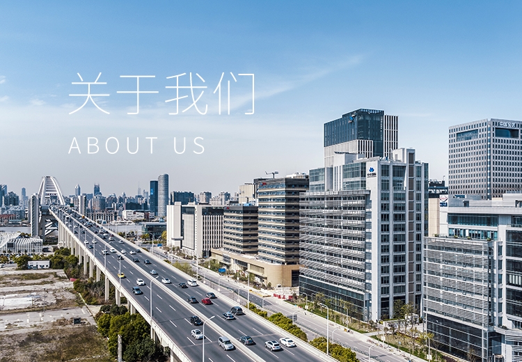 关于usdt网投平台 