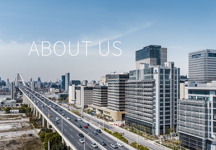 关于usdt网投平台 